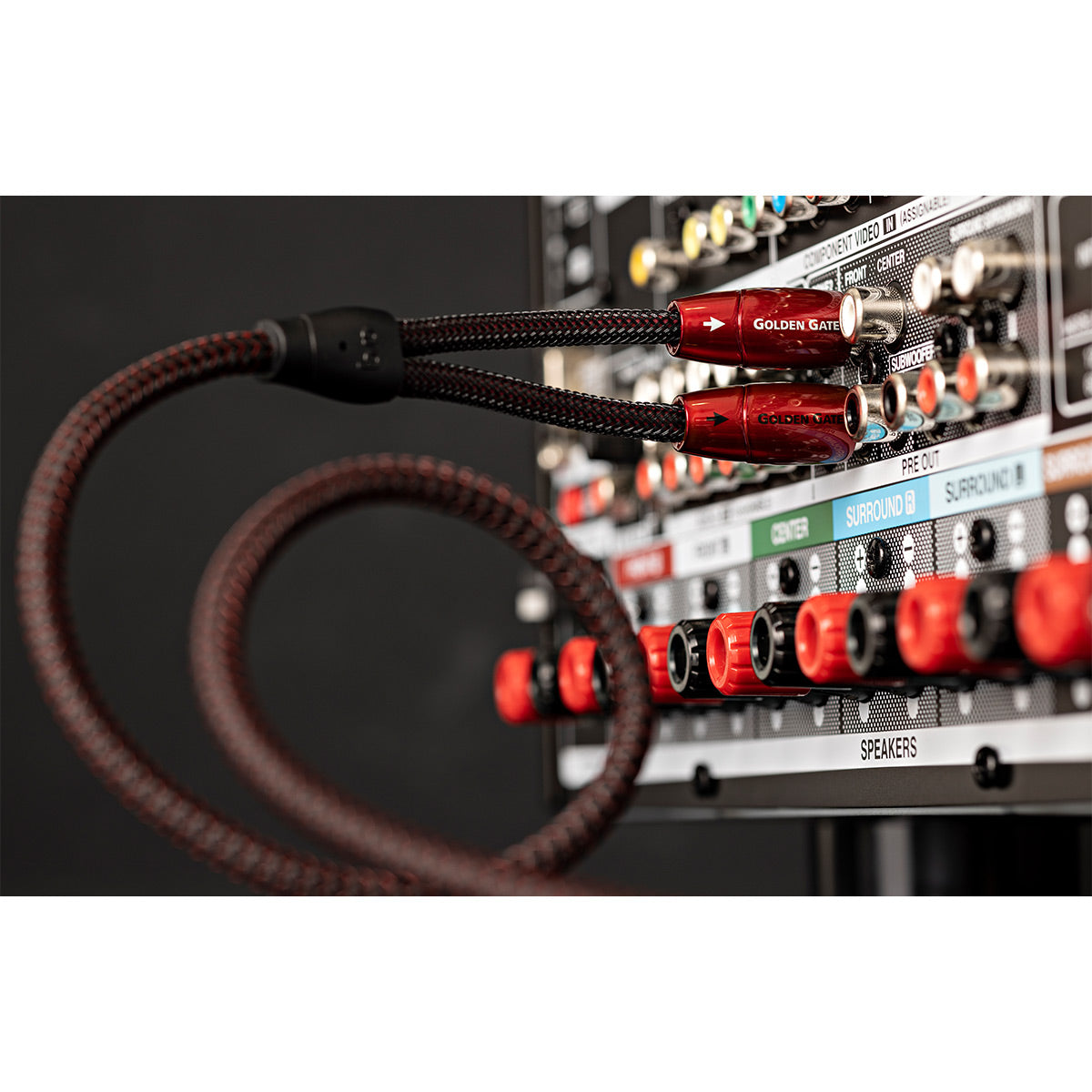 AudioQuest Golden Gate RCA Male to RCA Male Cable - 3.28 ft. (1m