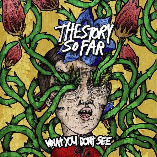 What You Don't See - Vinyl LP