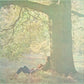 Plastic Ono Band - Vinyl LP