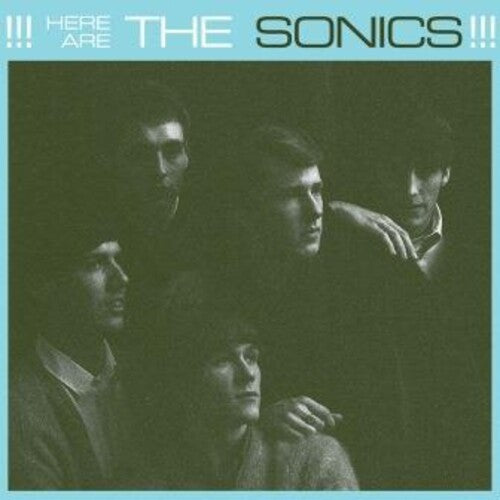 Here Are The Sonics - Vinyl LP