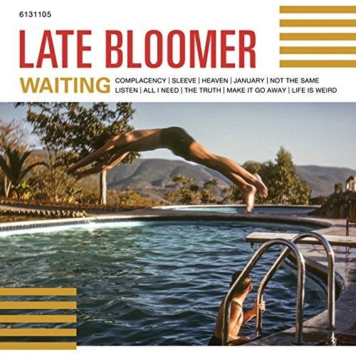 Waiting - Vinyl LP