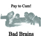 Pay To Cum - Vinyl LP