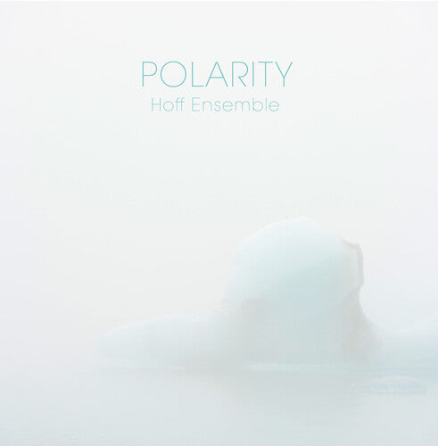 Polarity - Vinyl LP