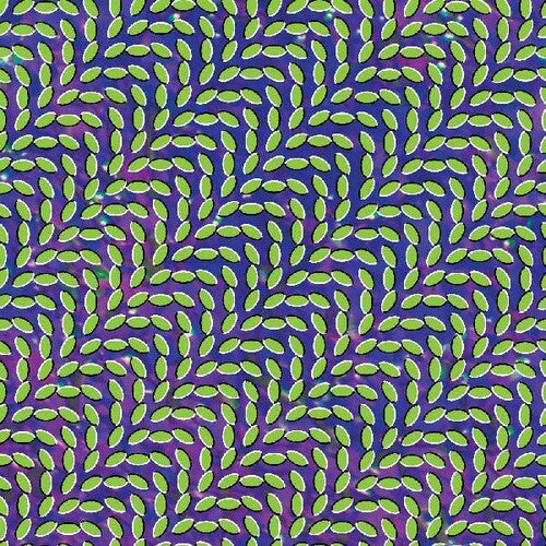 Merriweather Post Pavilion - Vinyl LP