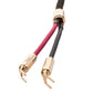 McIntosh CS3M Speaker Cable - 9.84 ft. (3m)